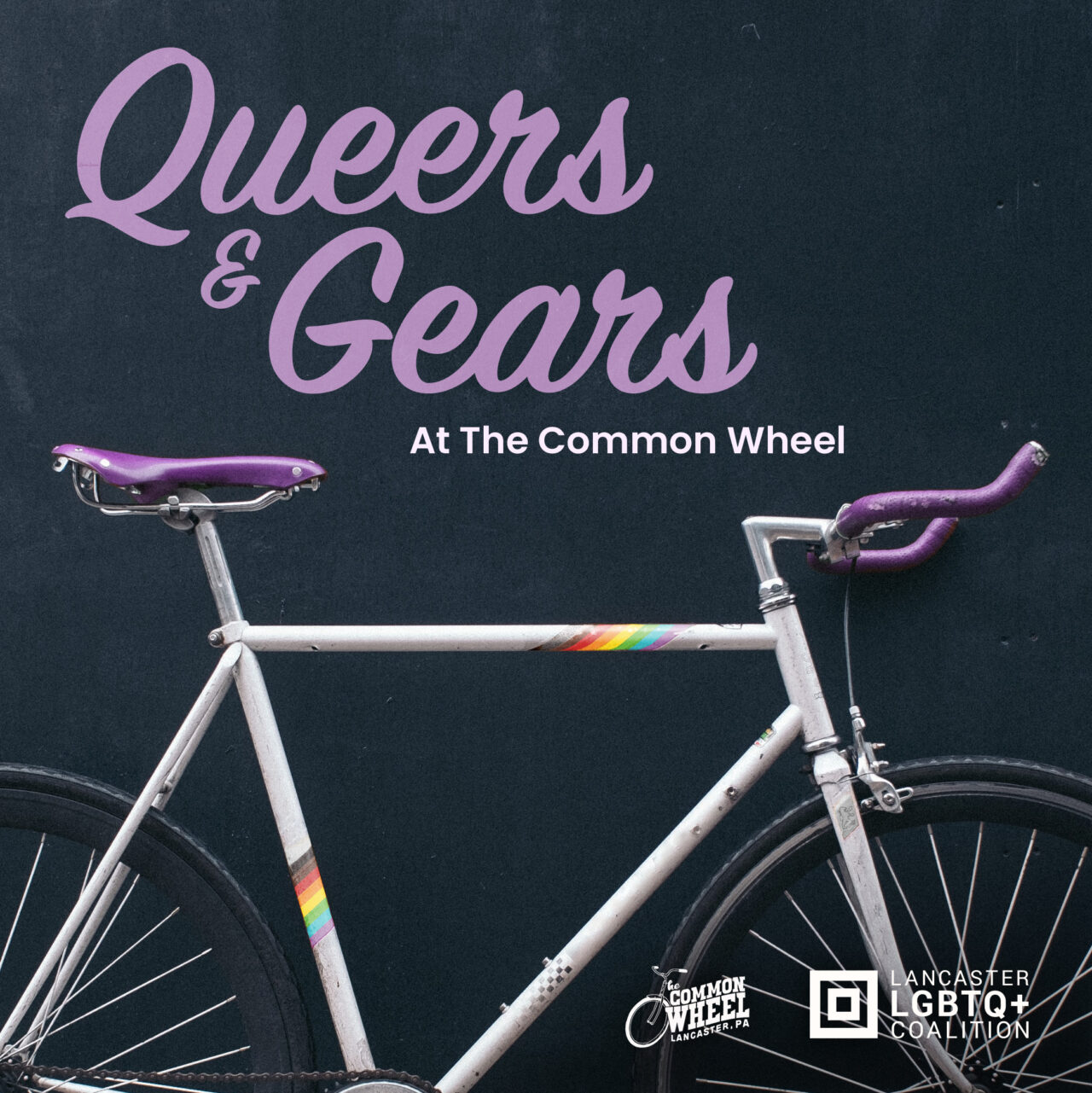 The Common Wheel Bicycle Sales, Repair, and CoOp